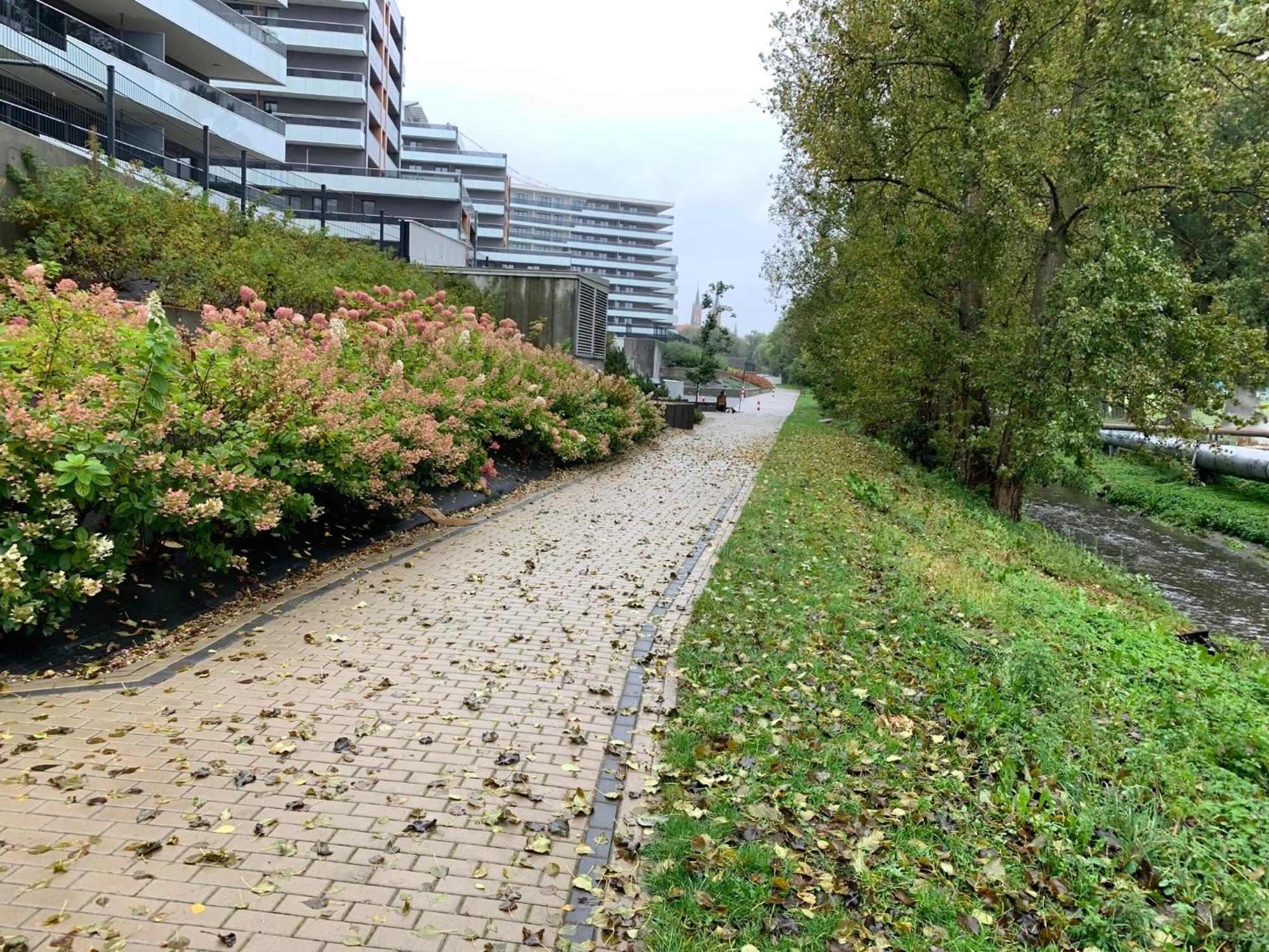 Vabi